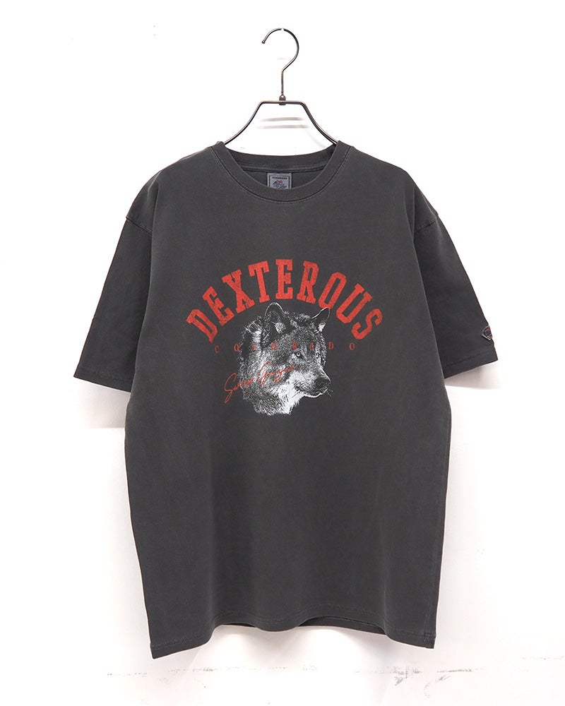 JEMORGAN 天竺ピグメントプリントTEE